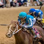 best way to bet the kentucky derby